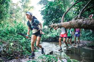 BIB: 
                            <button type="button" onclick="openModal(25432942)" class="btn btn-primary btn-sm float-right btn-popup" data-toggle="modal" data-target=".modal-high-quality">
                        <i class="fas fa-shopping-cart"></i> Add to Cart
                    </button>
                                            <button type="button" onclick="isThisMe(25432942, true)" class="btn btn-success btn-sm float-right btn-popup btn-isme hidden" data-toggle="tooltip" data-placement="bottom" title="นี่คือรูปของคุณใช่ไหม คลิกที่นี่เพื่อเอาเข้าอัลบั้ม">
                        <i class="fas fa-plus"></i> Add to album
                    </button>
                    <button type="button" onclick="isThisMe(25432942, false)" class="btn btn-warning btn-sm float-right btn-popup btn-isnotme hidden">
                        <i class="fas fa-ban"></i> Remove from album
                    </button>